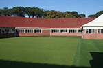 Sport Surfaces