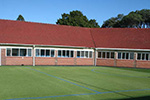 Sport Surfaces