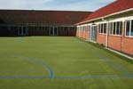 Sport Surfaces